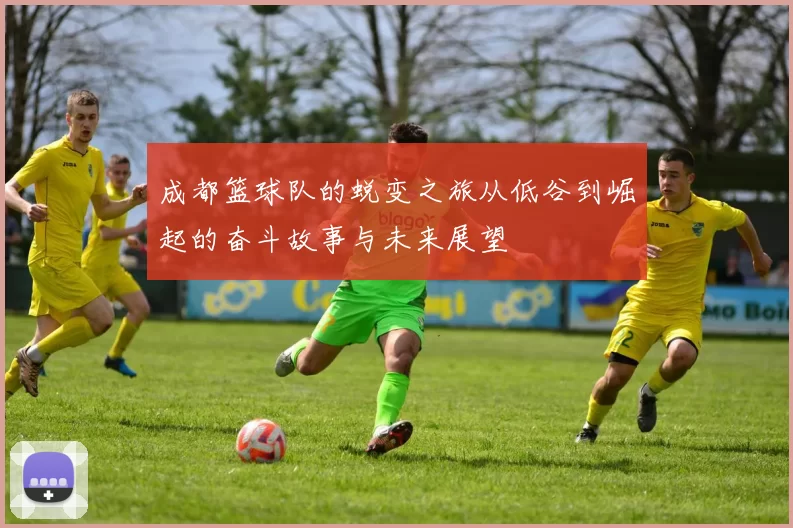 成都篮球队的蜕变之旅从低谷到崛起的奋斗故事与未来展望