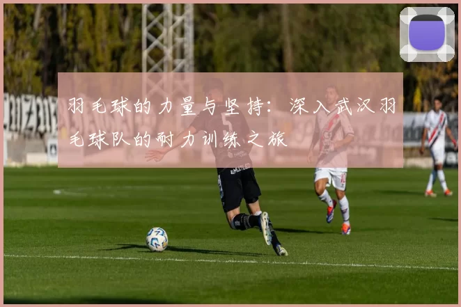 羽毛球的力量与坚持：深入武汉羽毛球队的耐力训练之旅