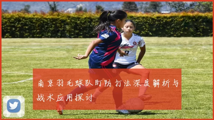 南京羽毛球队盯防打法深度解析与战术应用探讨