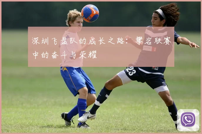 深圳飞盘队的成长之路：攀岩联赛中的奋斗与荣耀