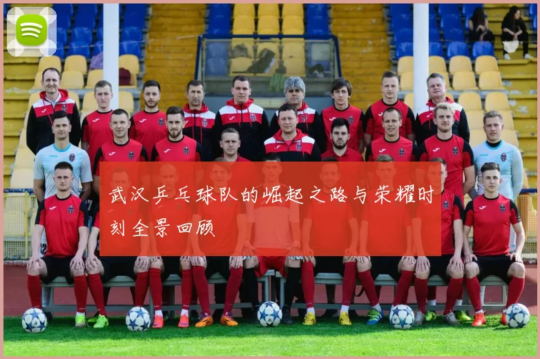 武汉乒乓球队的崛起之路与荣耀时刻全景回顾