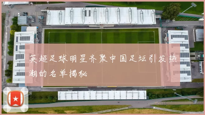 英超足球明星齐聚中国足坛引发热潮的名单揭秘