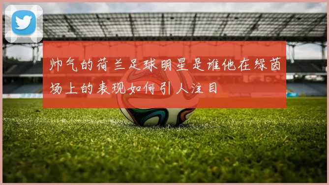 帅气的荷兰足球明星是谁他在绿茵场上的表现如何引人注目