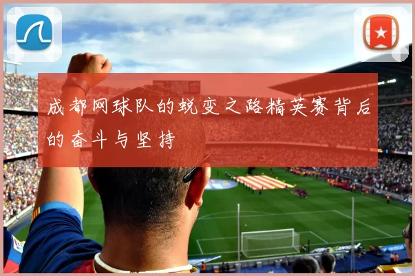 成都网球队的蜕变之路精英赛背后的奋斗与坚持