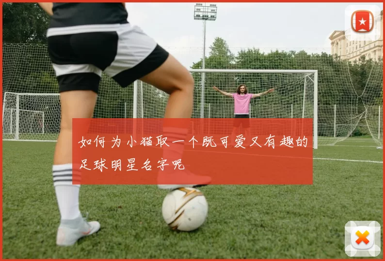 如何为小猫取一个既可爱又有趣的足球明星名字呢