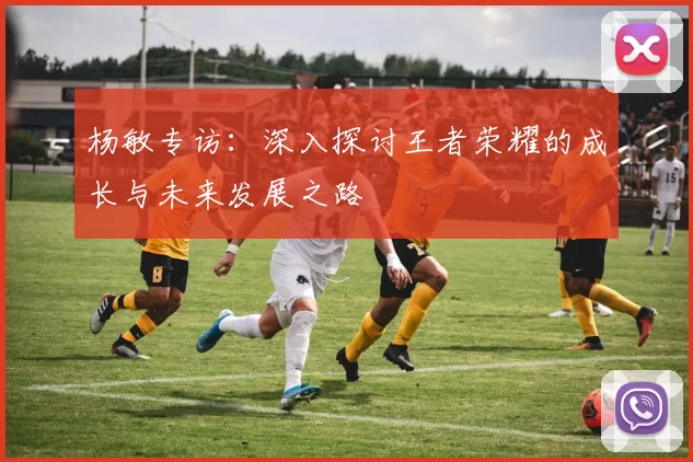 杨敏专访：深入探讨王者荣耀的成长与未来发展之路