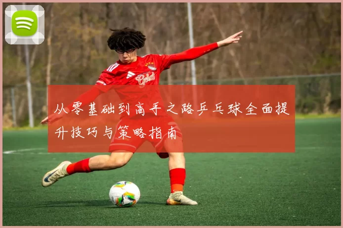从零基础到高手之路乒乓球全面提升技巧与策略指南
