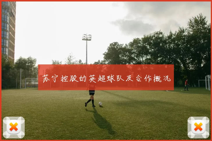 苏宁控股的英超球队及合作概况