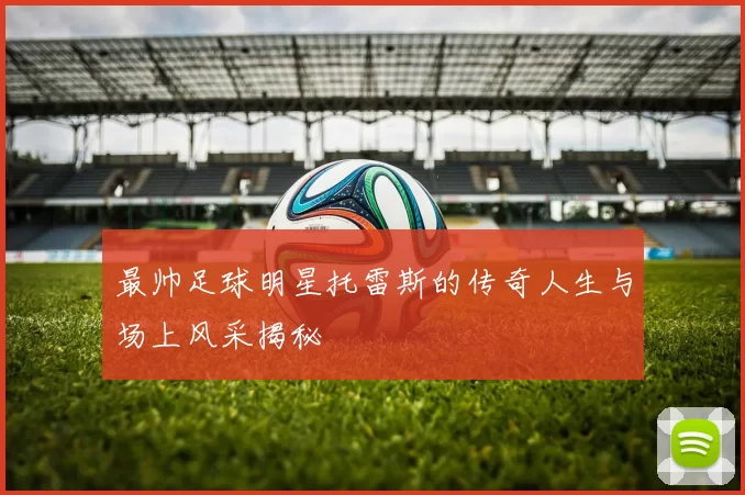 最帅足球明星托雷斯的传奇人生与场上风采揭秘