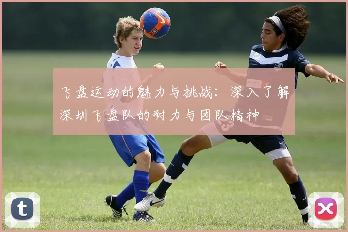 飞盘运动的魅力与挑战：深入了解深圳飞盘队的耐力与团队精神