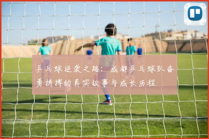 乒乓球逆袭之路：成都乒乓球队奋勇拼搏的真实故事与成长历程