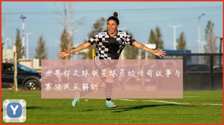 世界杯足球明星球员的传奇故事与赛场风采解析