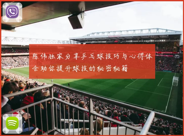 陈伟独家分享乒乓球技巧与心得体会助你提升球技的秘密秘籍