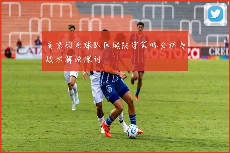 南京羽毛球队区域防守策略分析与战术解读探讨