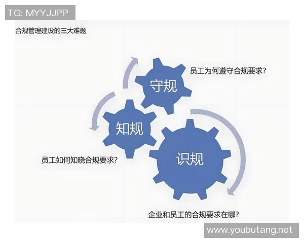 以法务为核心推动企业合规管理与风险防控体系建设的战略思考与实践