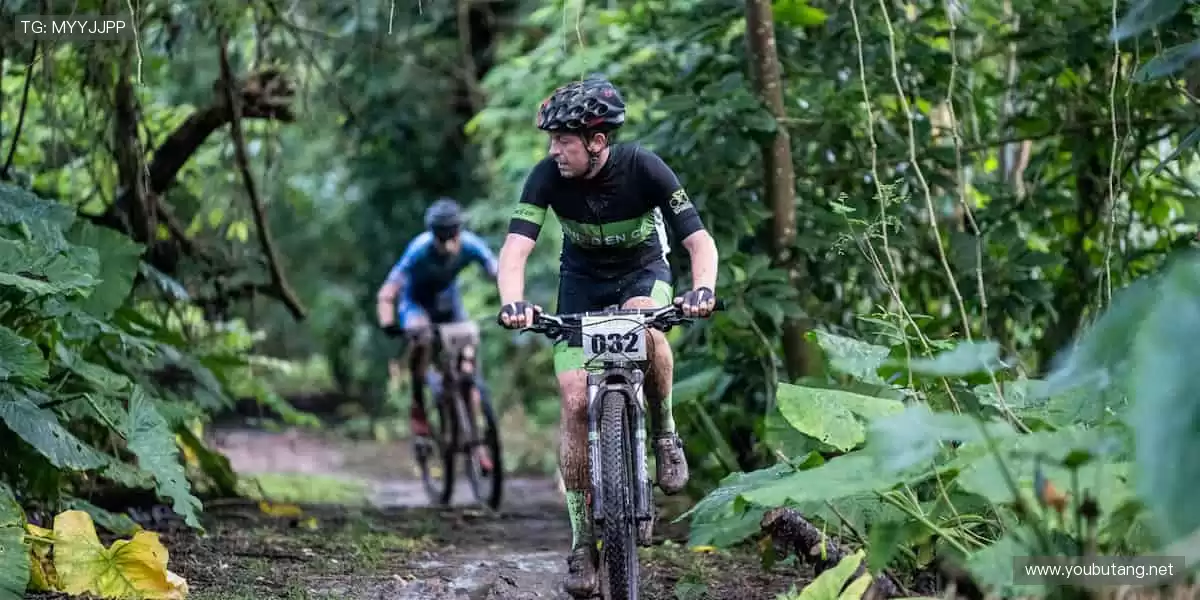 🏀 每一场对决,都是心跳的证明!